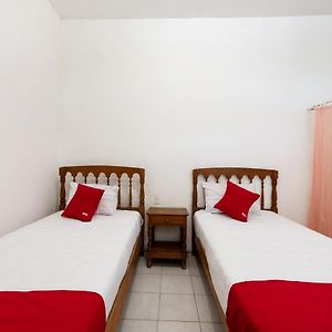 Habitación Estándar con 2 Camas Individuales